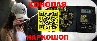крисы Коммунар