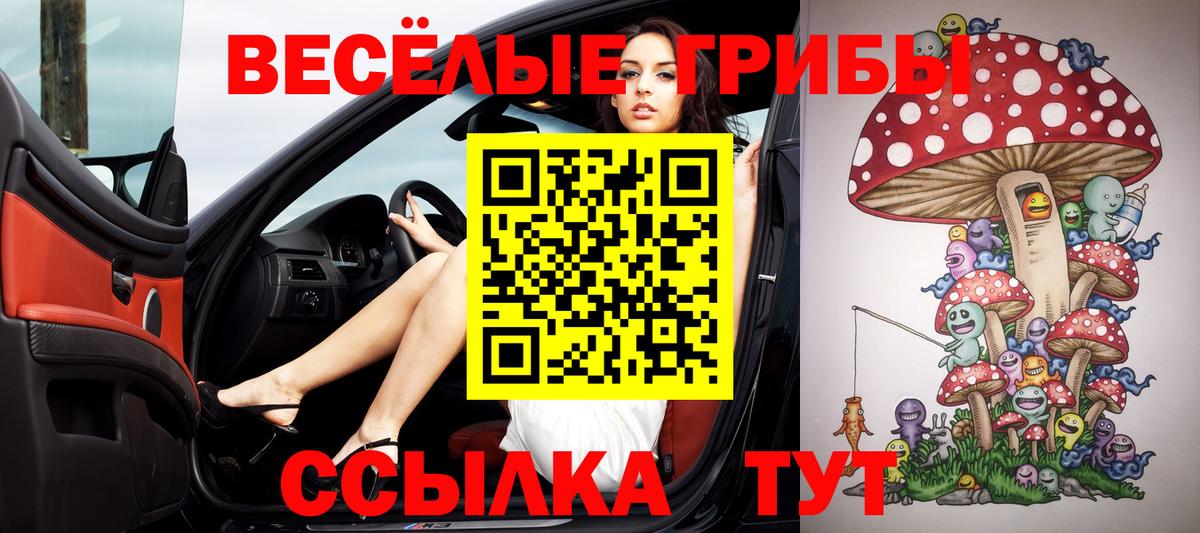 Новороссийск  Галлюциногенные грибы мухоморы  Вход с VPN 