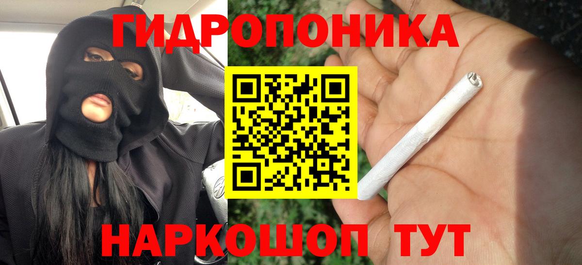 Бошки Шишки Amnesia Новороссийск